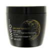 Masque-argan-perfect-500-ml