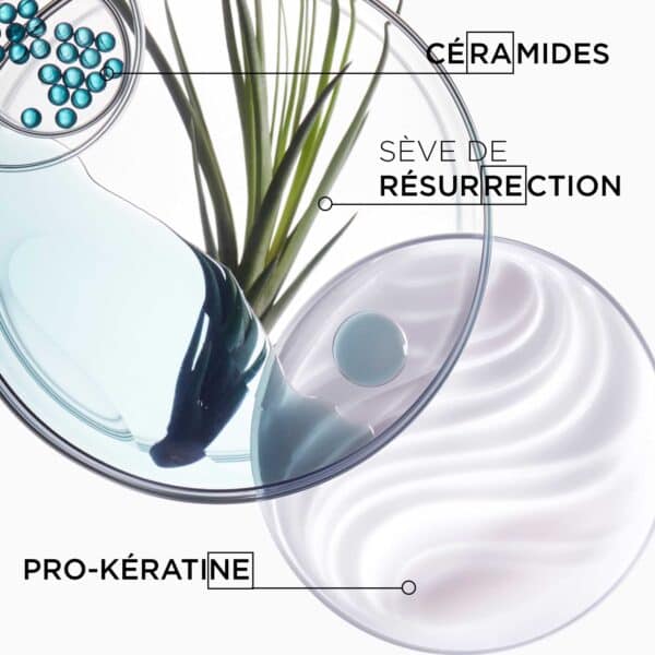 Bain_force_architecte_250_ml_kerastase