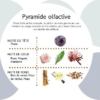 pyramide-olfactive-sweo-style